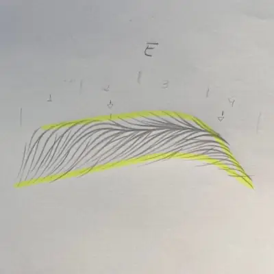 Mapa de trazos en papel
